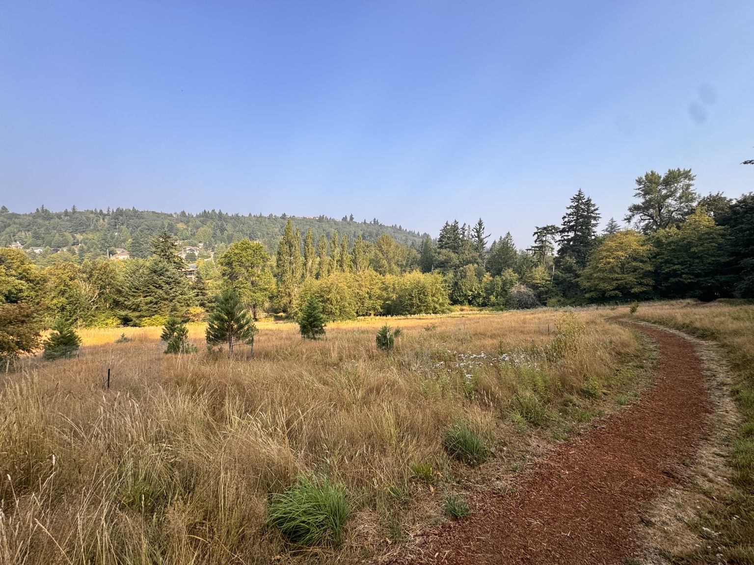 Scenic walking trail through Lewis Creek Park