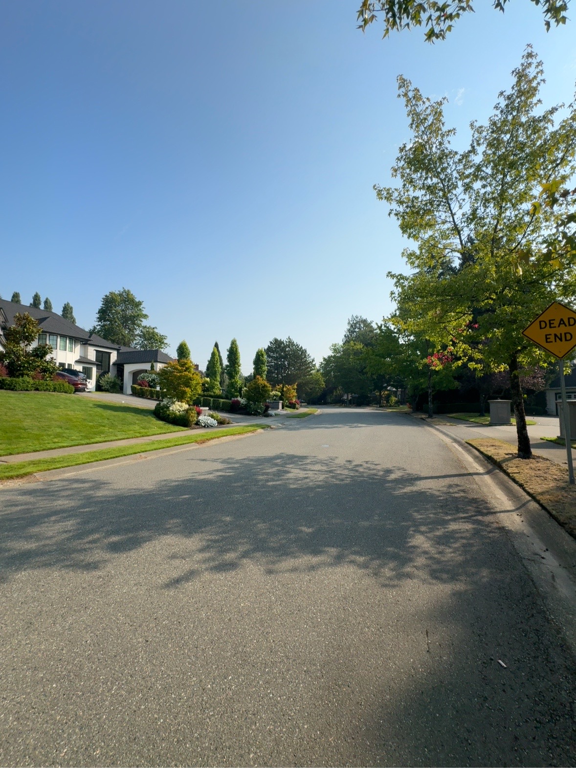 Peaceful residential cul-de-sac in Lakemont Woods